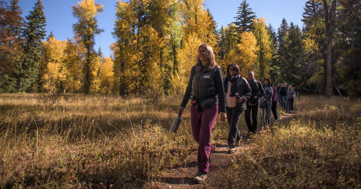 Discover a New Trail for National Take a Hike Day The National